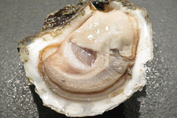 oesters om de potentie te vergroten
